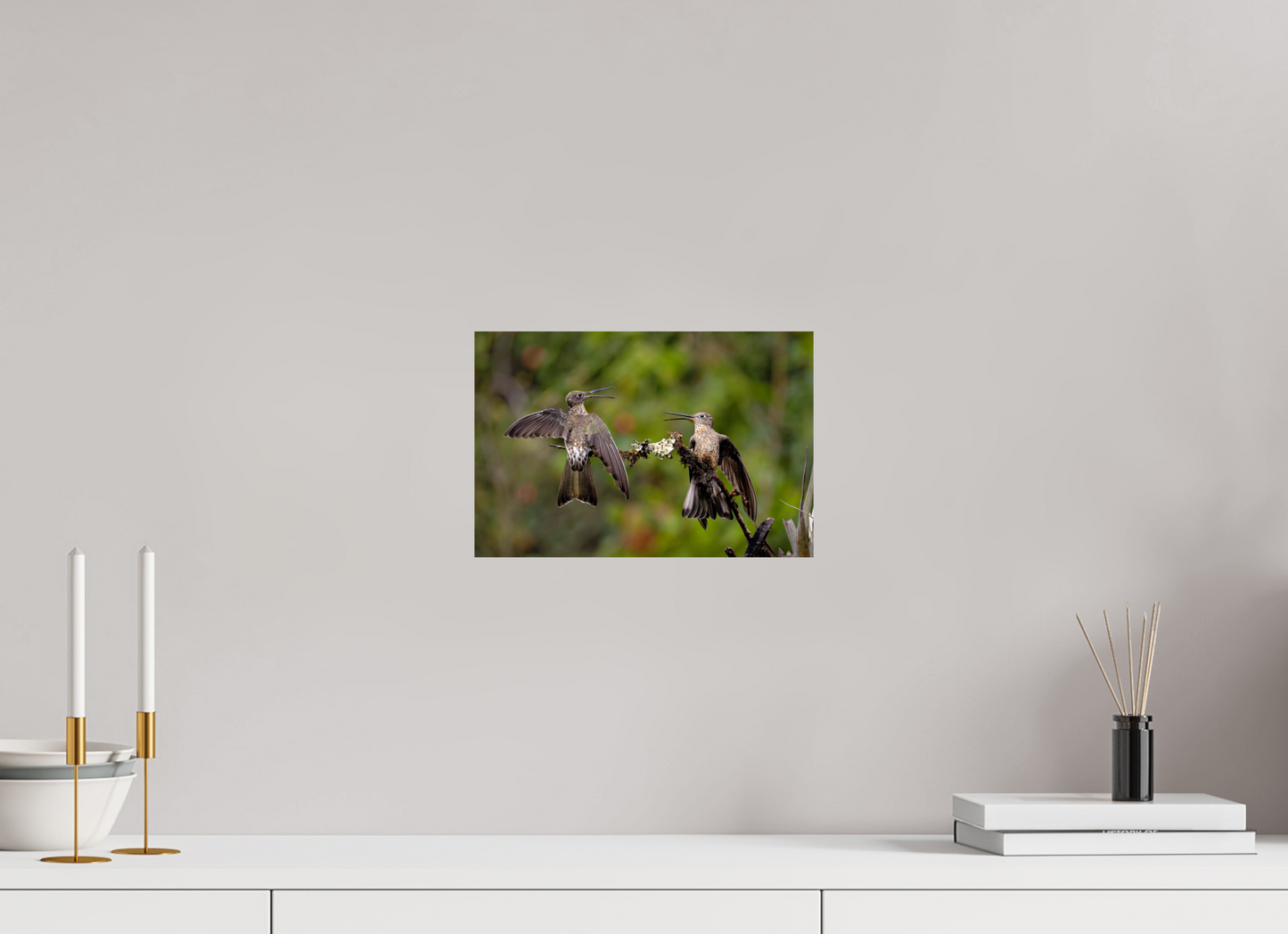 30 x 20 cm, Smooth Glossy giant hummingbirds