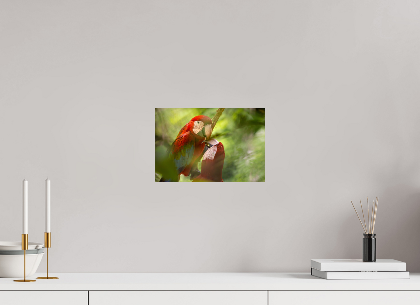 30 x 20 cm, Smooth Glossy Macaw