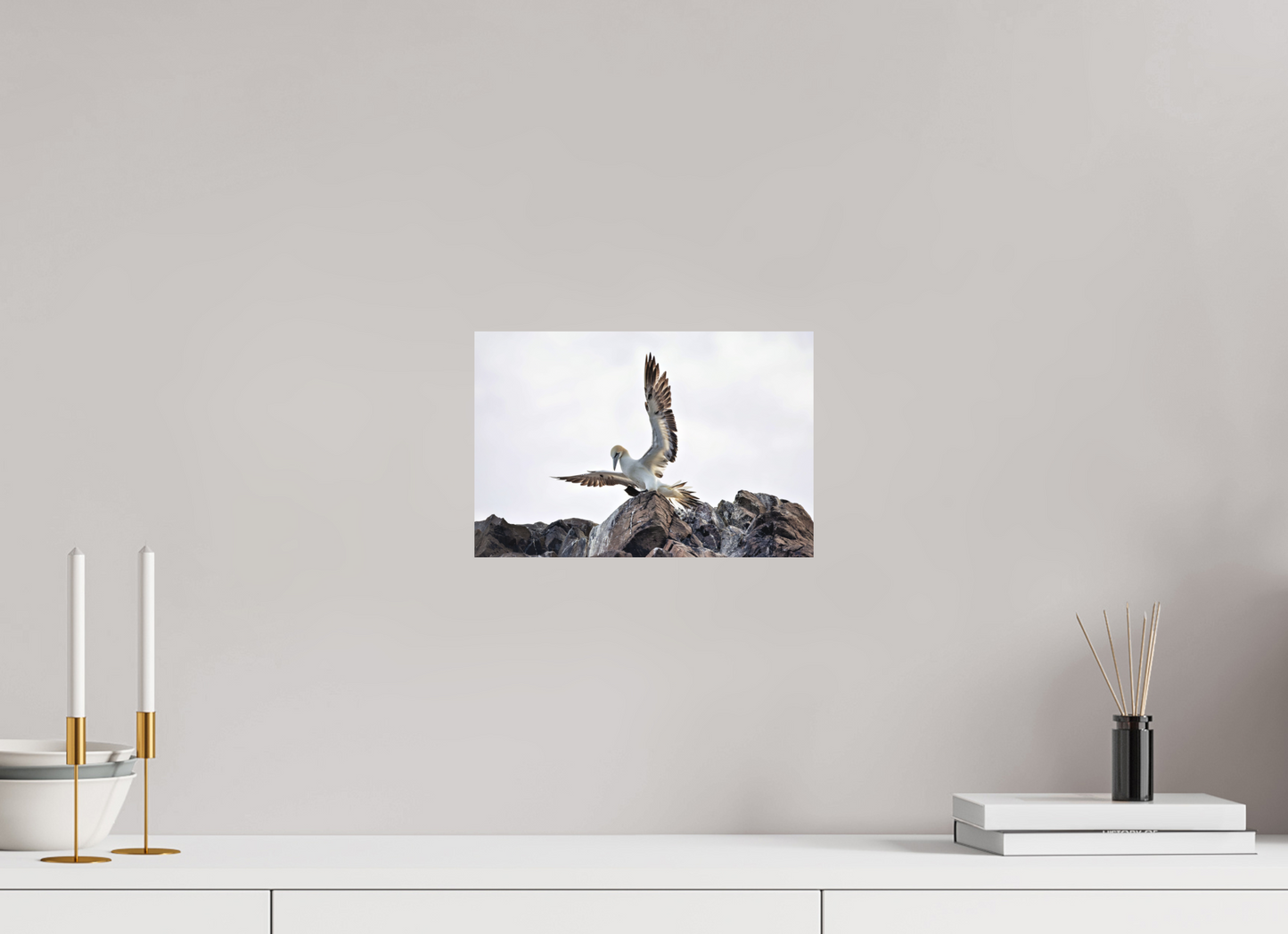 30 x 20 cm, Textured Matte gannet landing