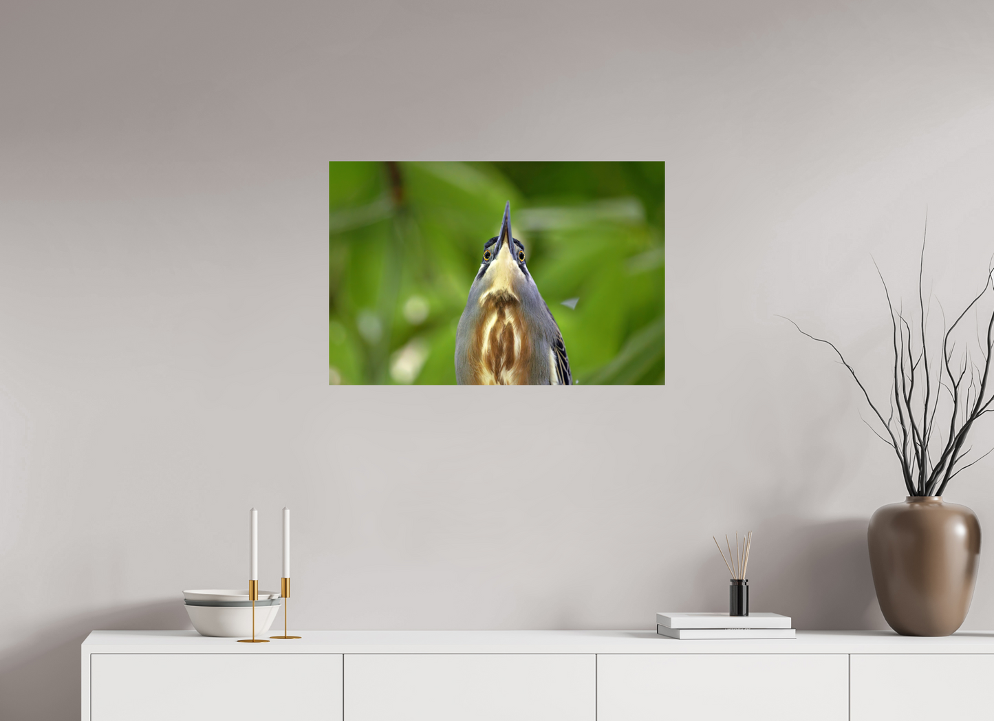 75 x 50 cm, Smooth Glossy young tiger heron