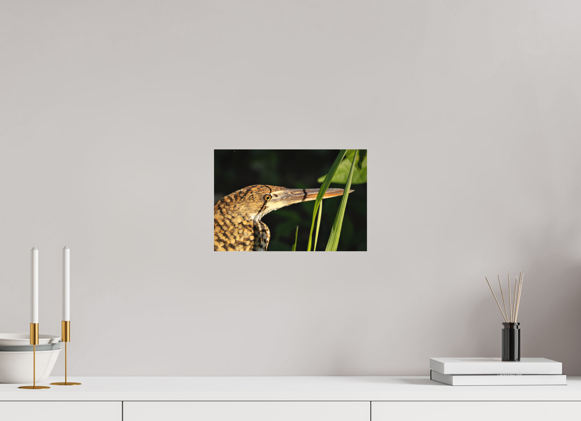 30 x 20 cm, Textured Matte tiger heron hunting