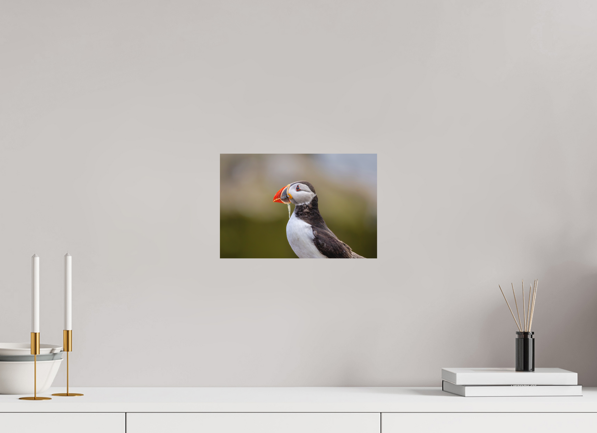30 x 20 cm, Textured Matte puffin8
