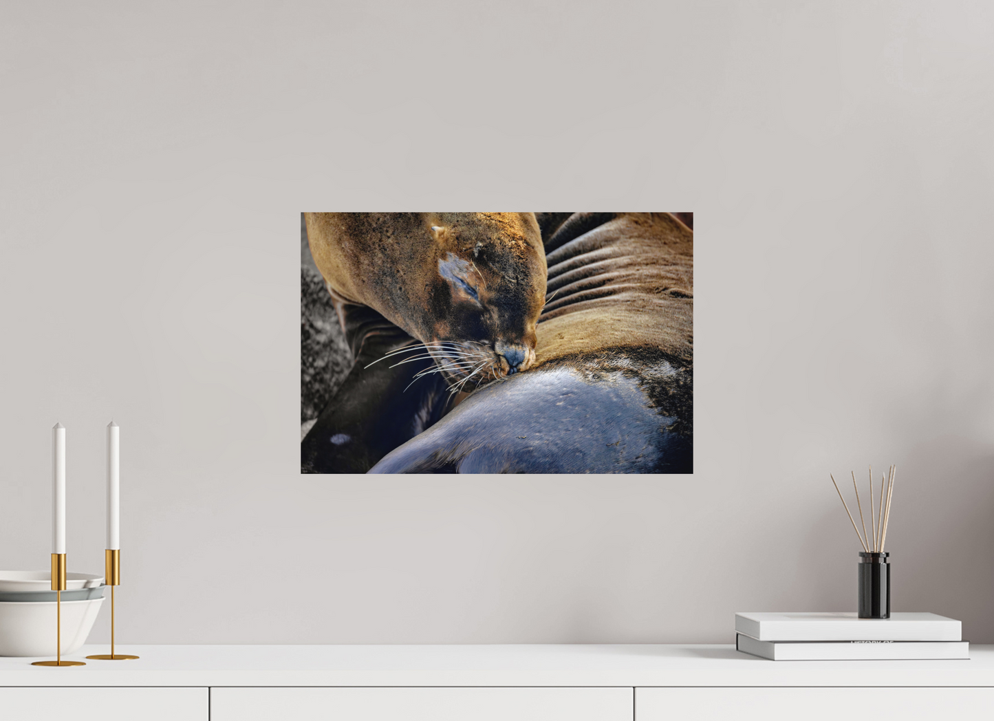 45 x 30 cm, Textured Matte sea lion