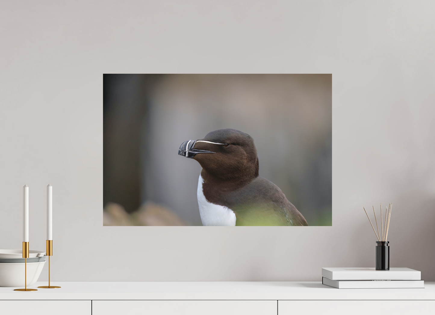 60 x 40 cm, Textured Matte Razorbill