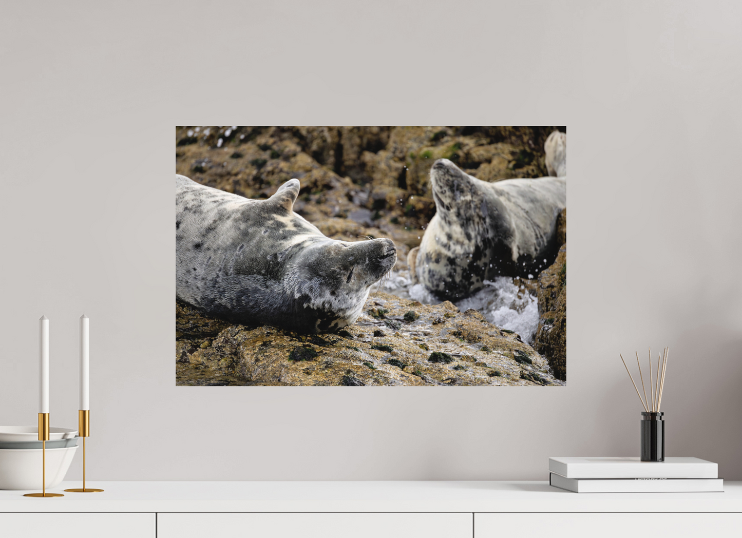60 x 40 cm, Textured Matte .