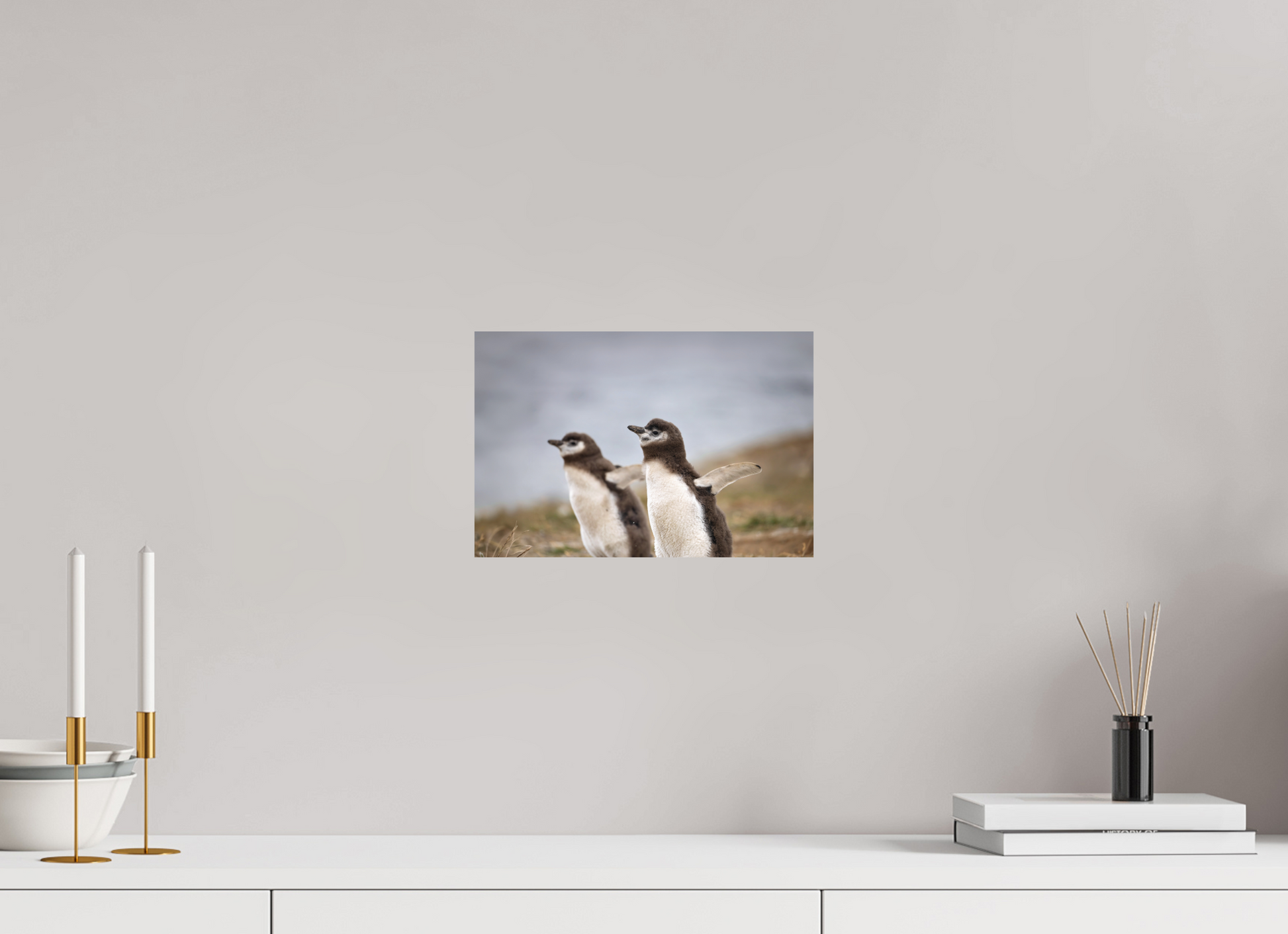 30 x 20 cm, Textured Matte Flightless Birds