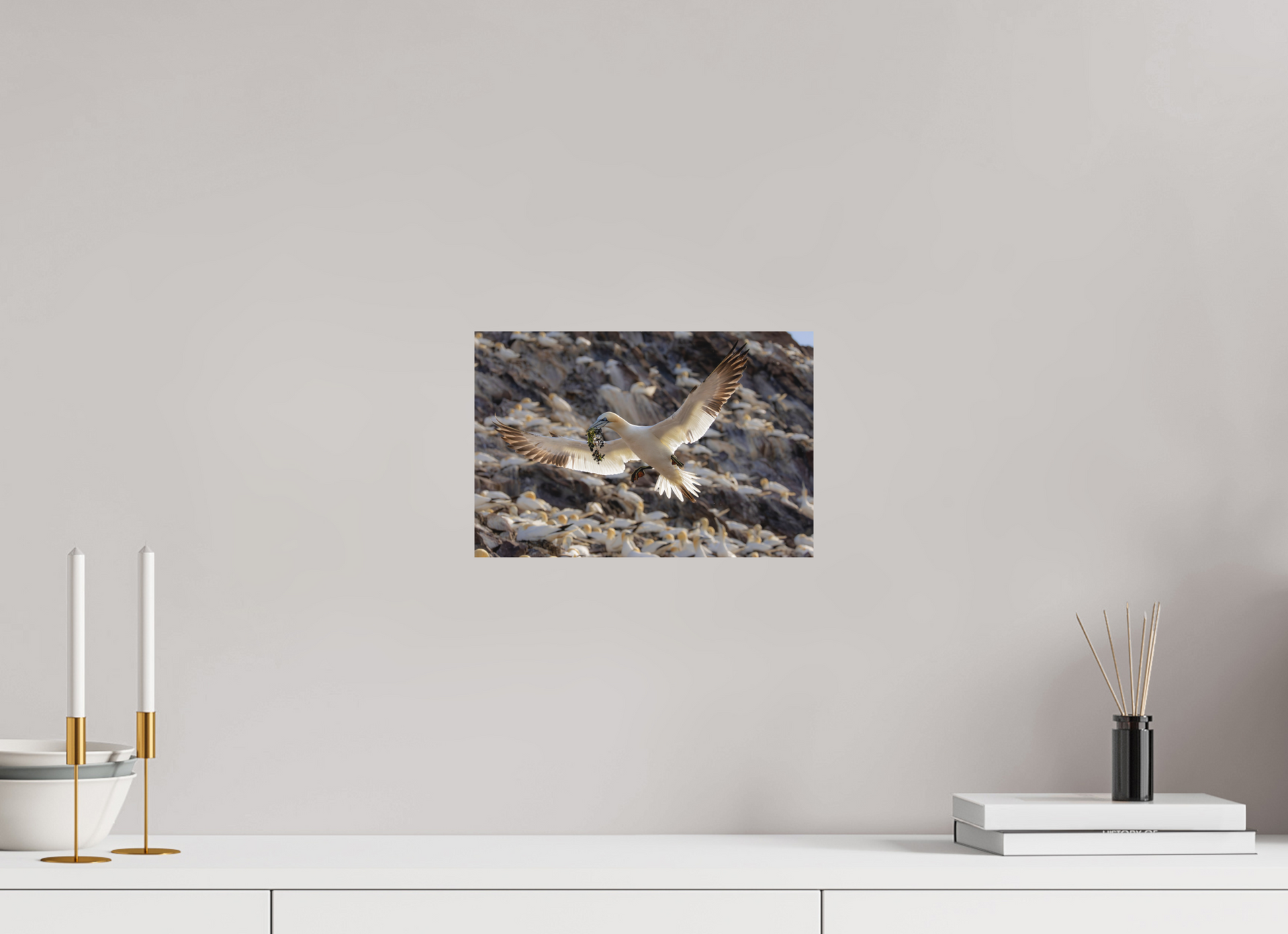 30 x 20 cm, Textured Matte Gannet with seaweed