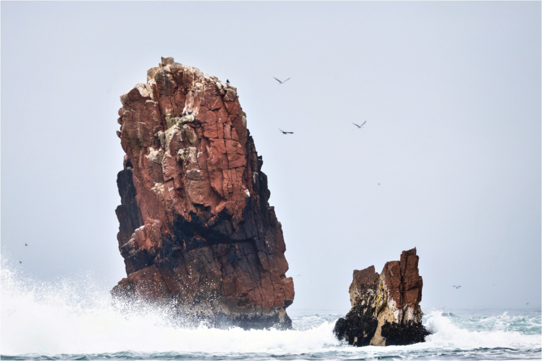 Main image ballestas