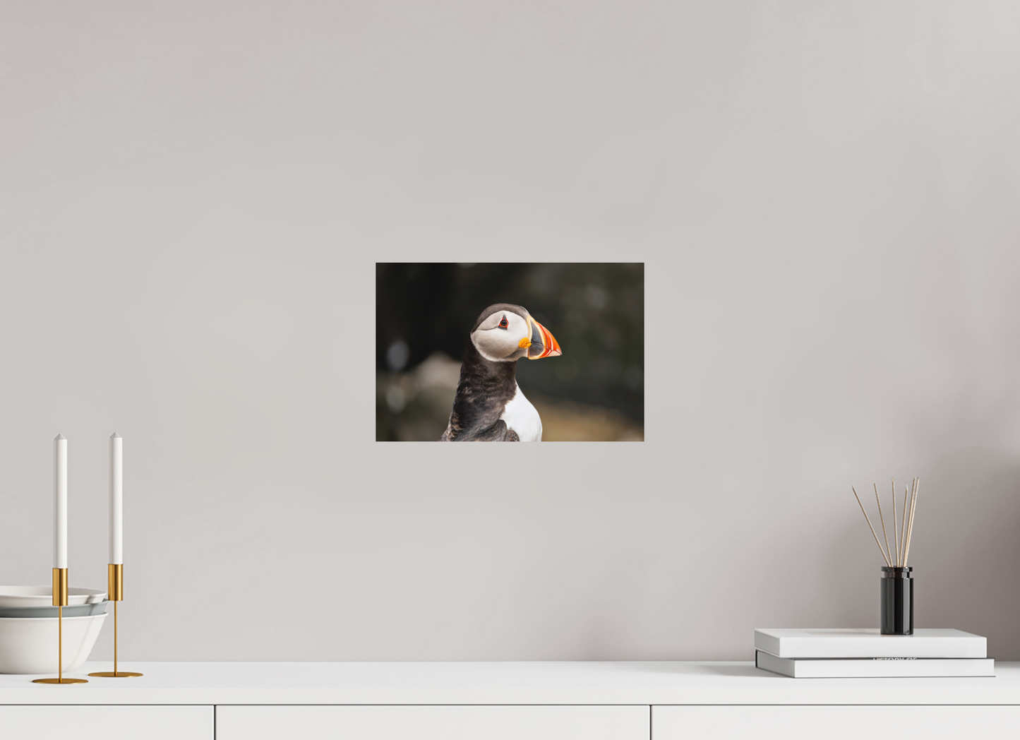 30 x 20 cm, Textured Matte puffin5