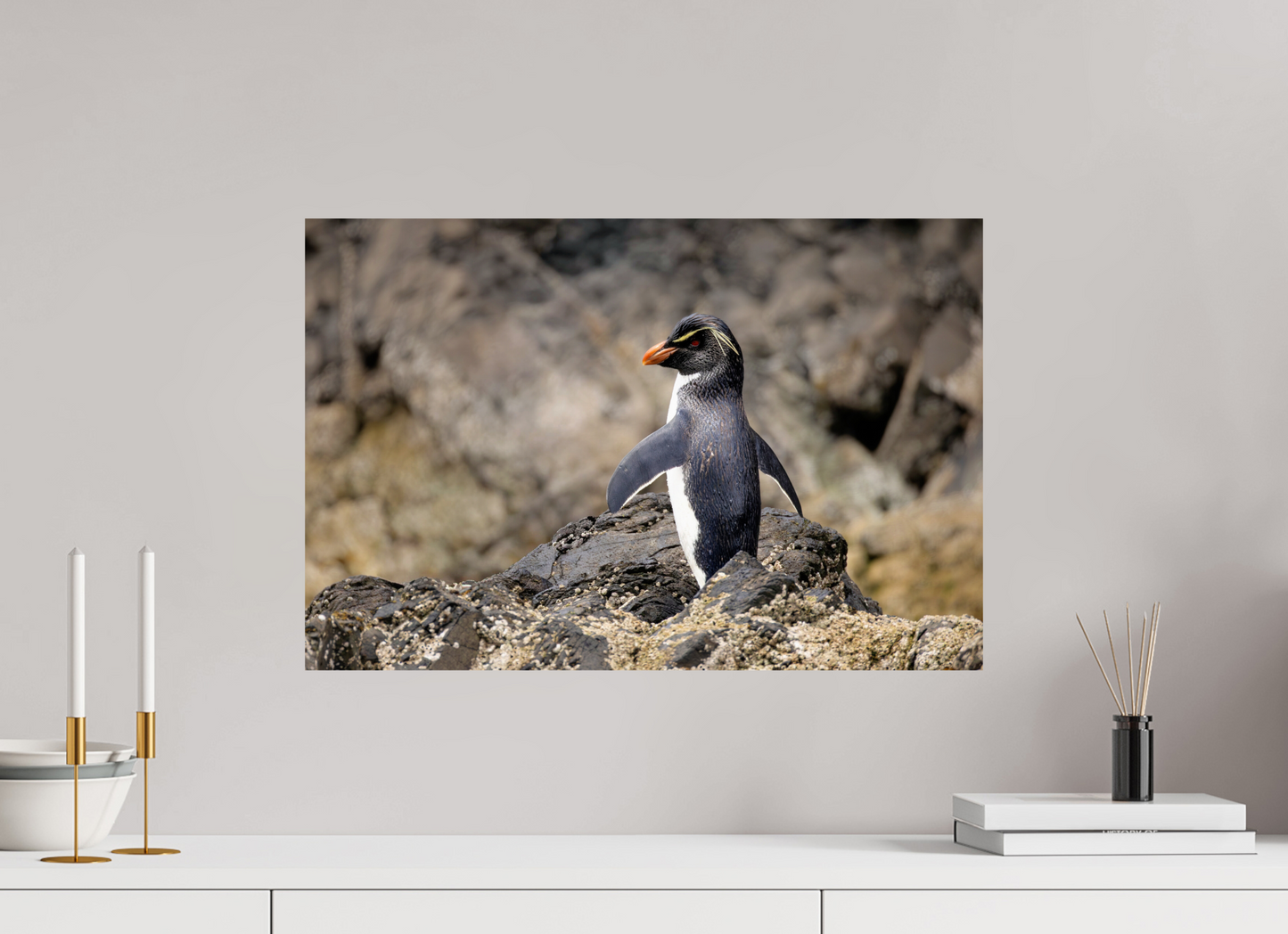 60 x 40 cm, Smooth Glossy Macaroni penguin