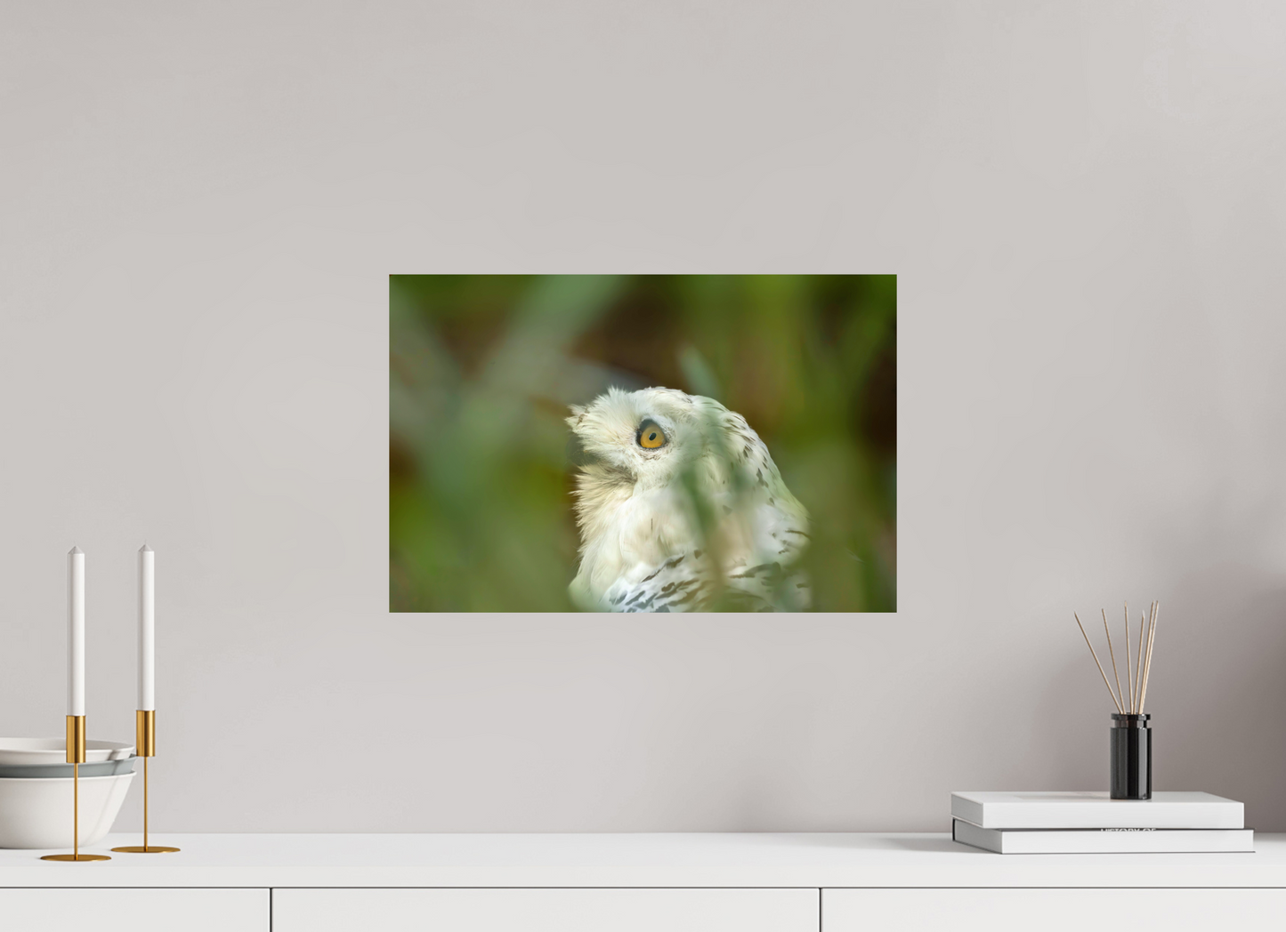 45 x 30 cm, Smooth Glossy snowy owl