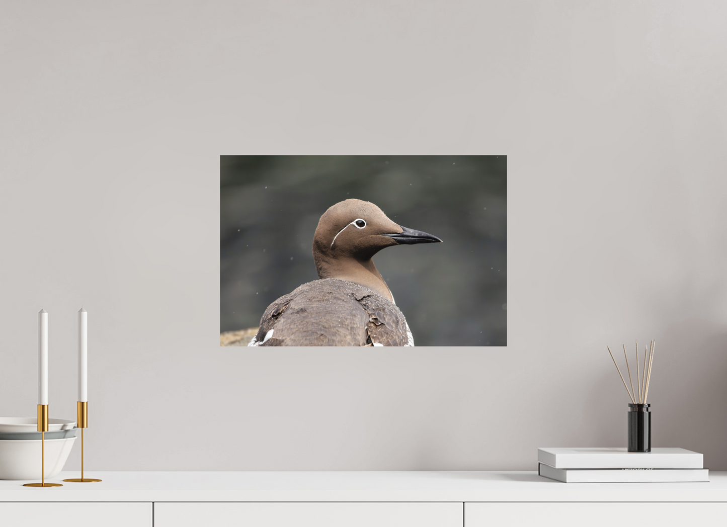 45 x 30 cm, Textured Matte Guillemot