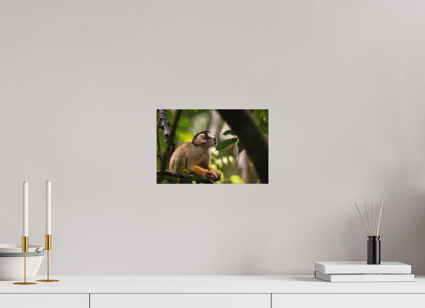 30 x 20 cm, Textured Matte Squirrel Monkey