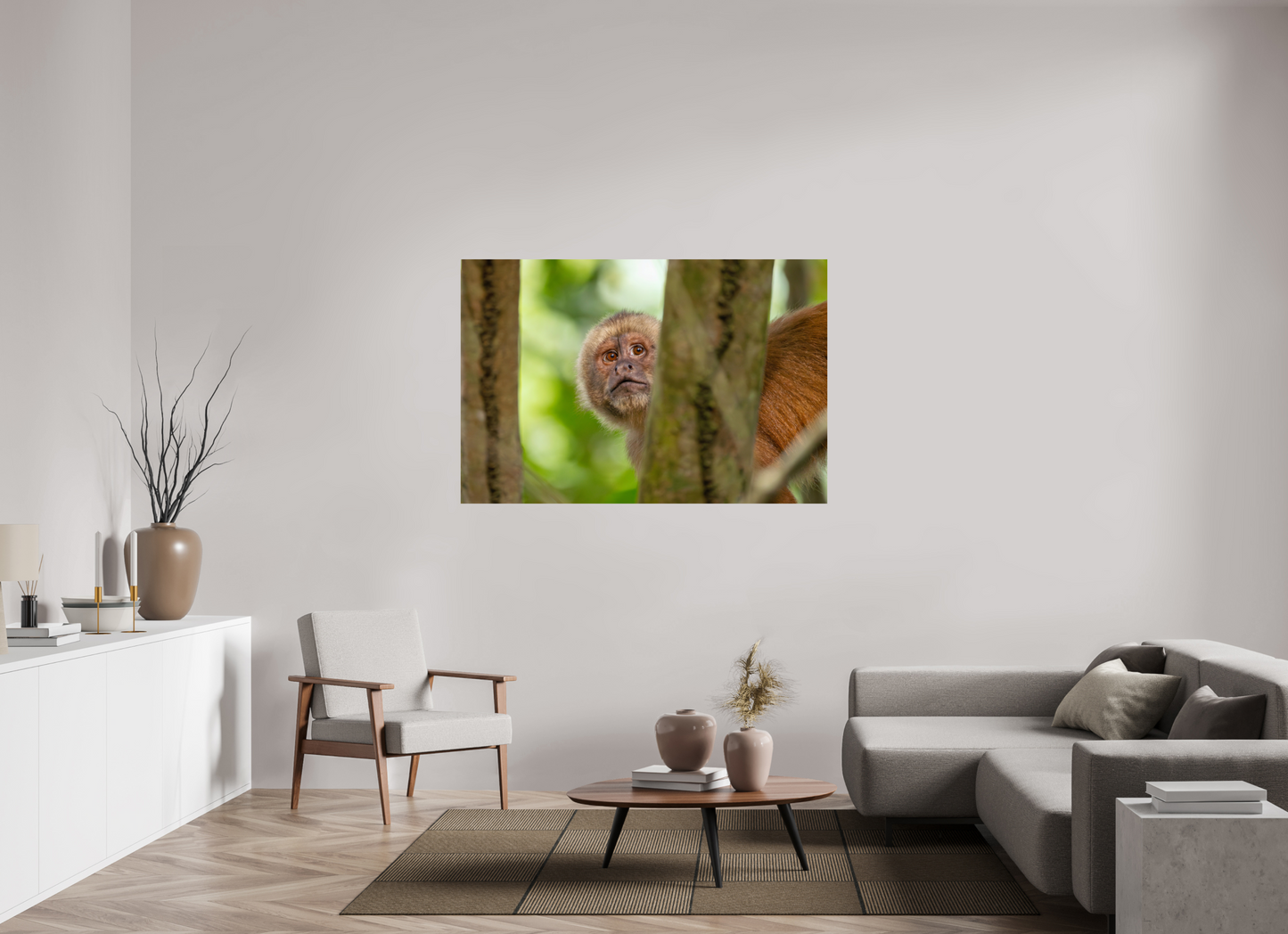 150 x 100 cm, Smooth Glossy Capuchin Monkey