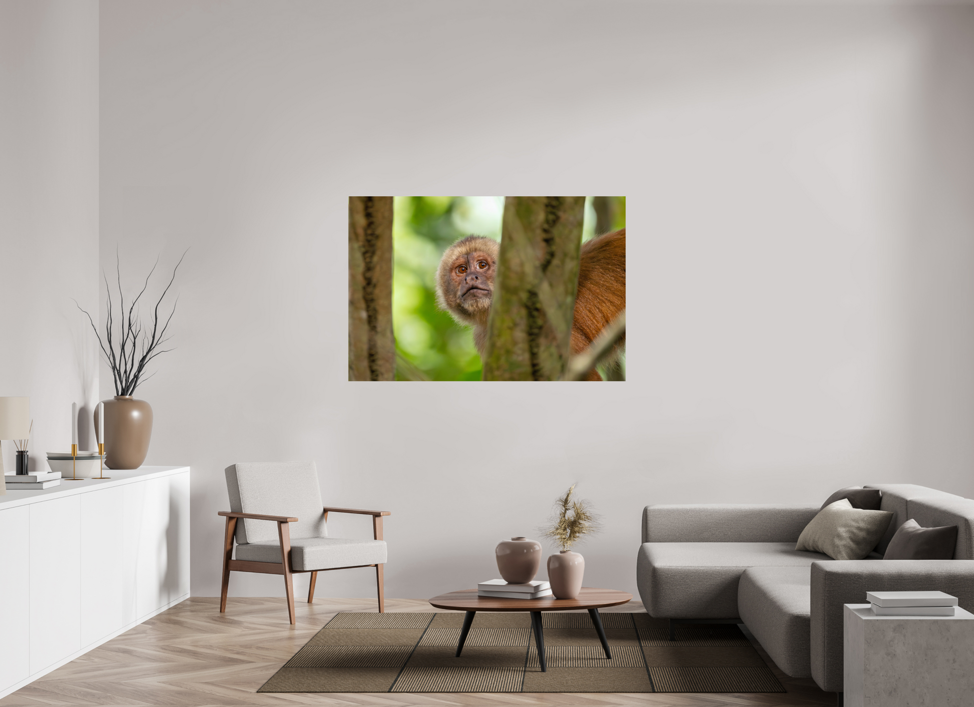 150 x 100 cm, Smooth Glossy Capuchin Monkey