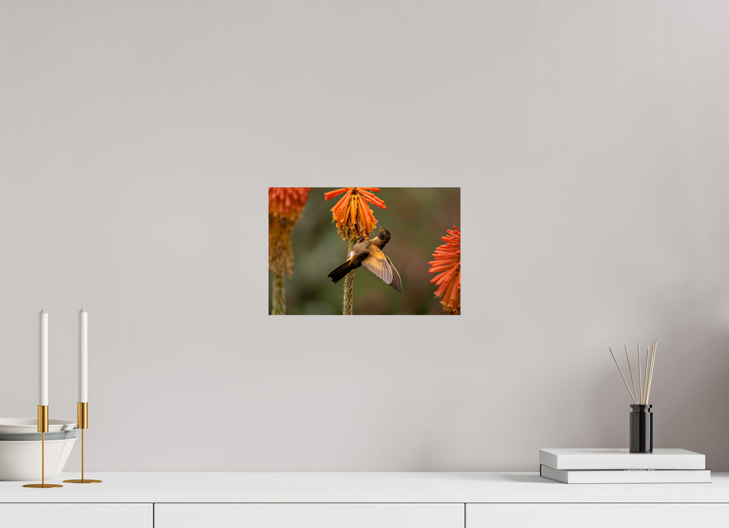 30 x 20 cm, Smooth Glossy hummingbird11