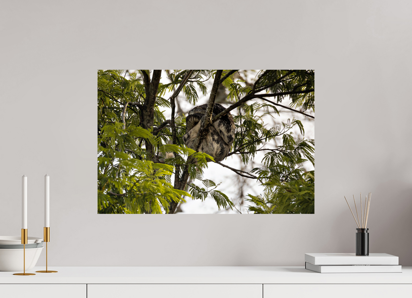 60 x 40 cm, Smooth Glossy sloth2