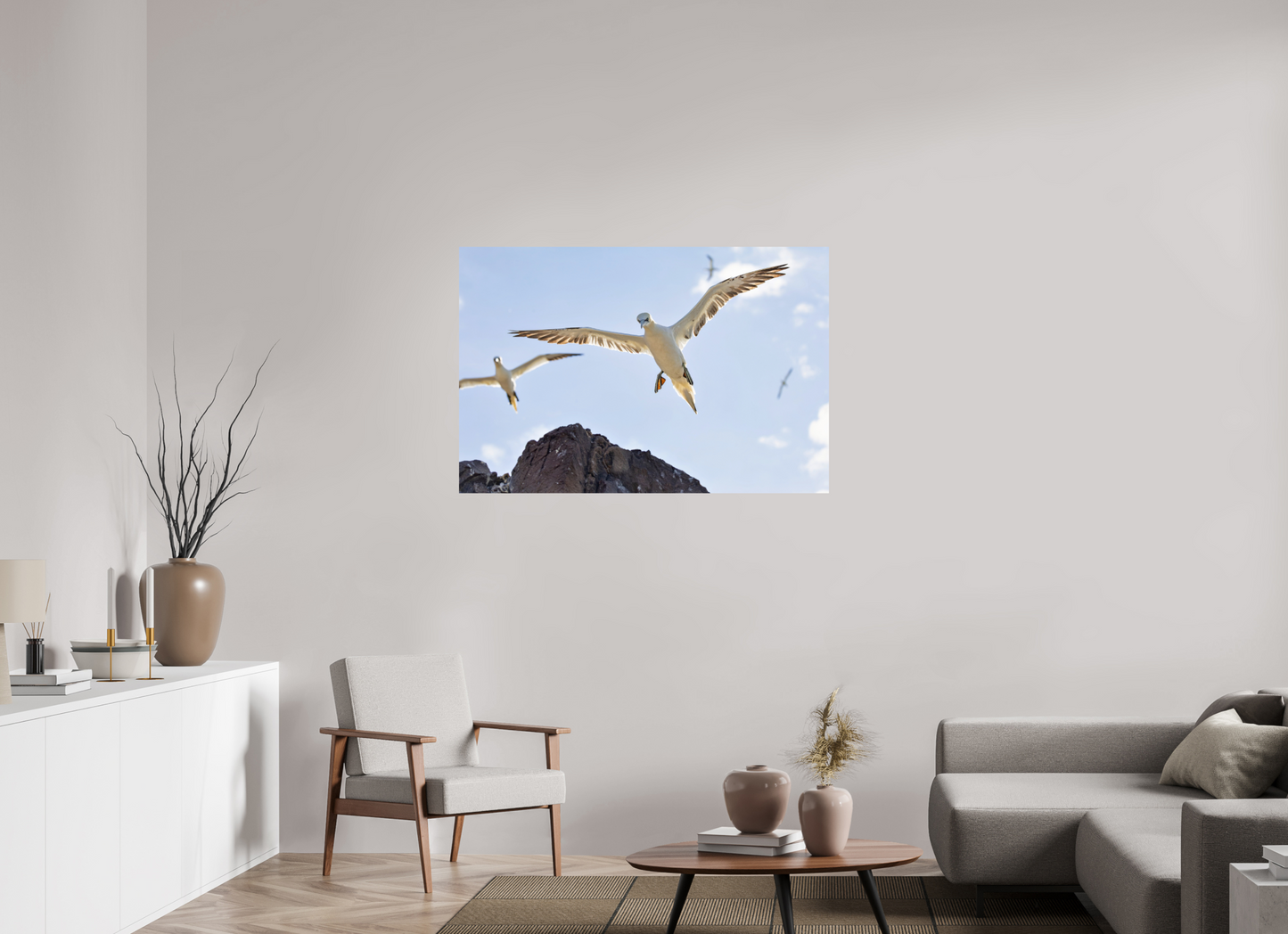 120 x 80 cm, Smooth Glossy Gannets2