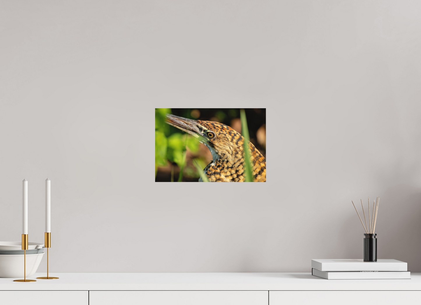 30 x 20 cm, Textured Matte tiger heron hunting 2