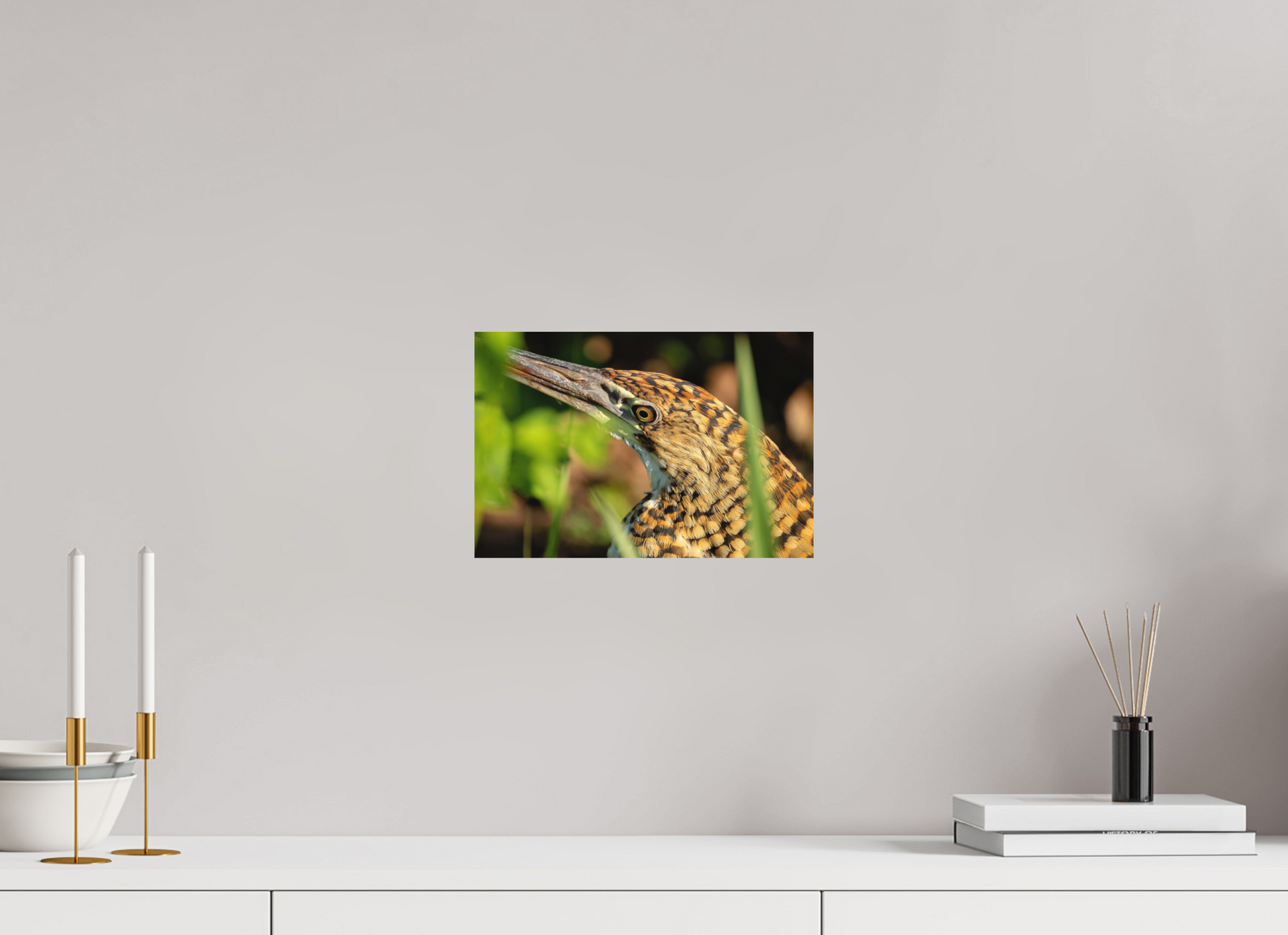 30 x 20 cm, Textured Matte tiger heron hunting 2