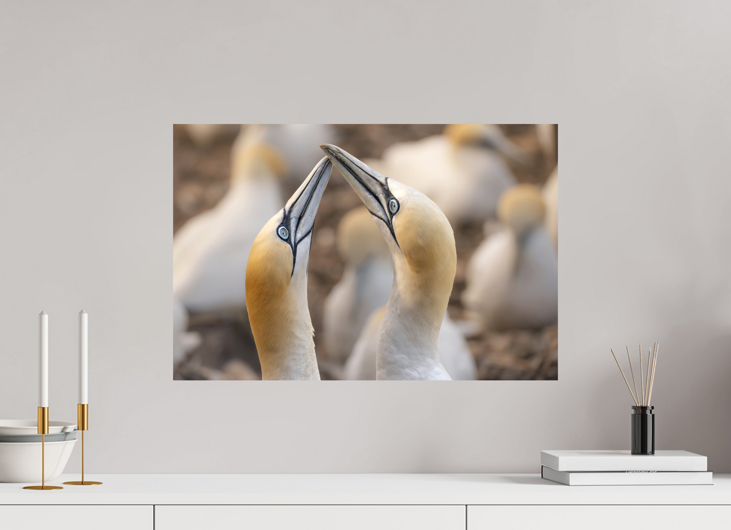 60 x 40 cm, Textured Matte .