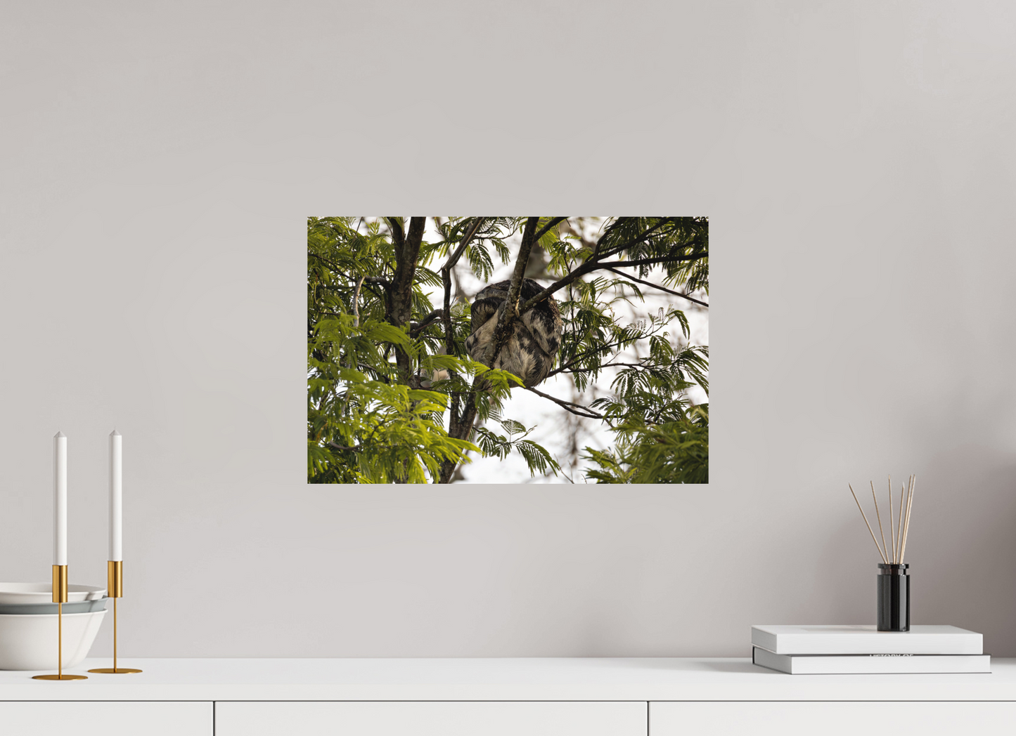 45 x 30 cm, Textured Matte sloth2
