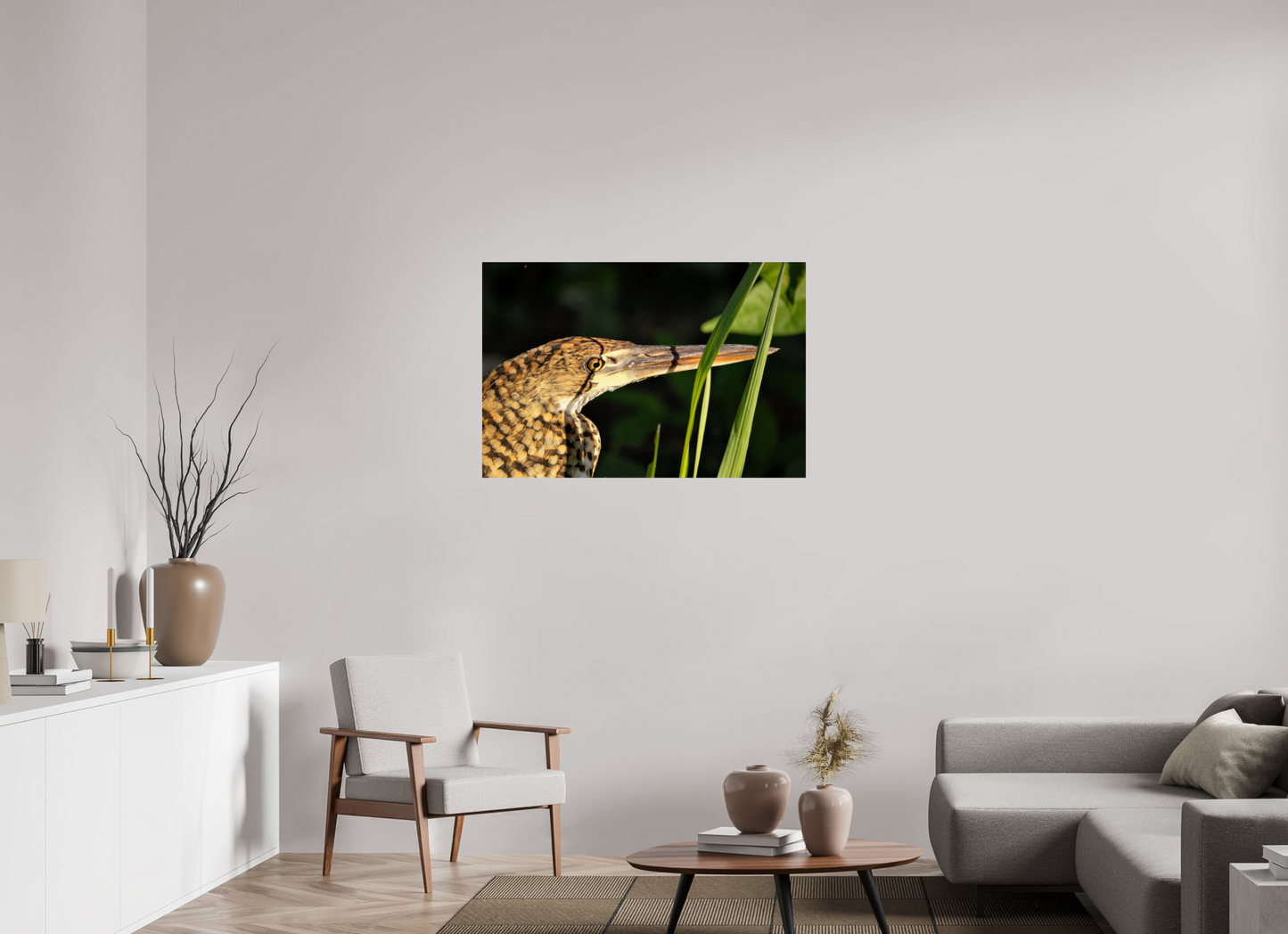 105 x 70 cm, Smooth Glossy tiger heron hunting