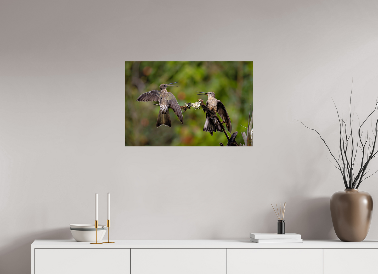 75 x 50 cm, Smooth Glossy giant hummingbirds