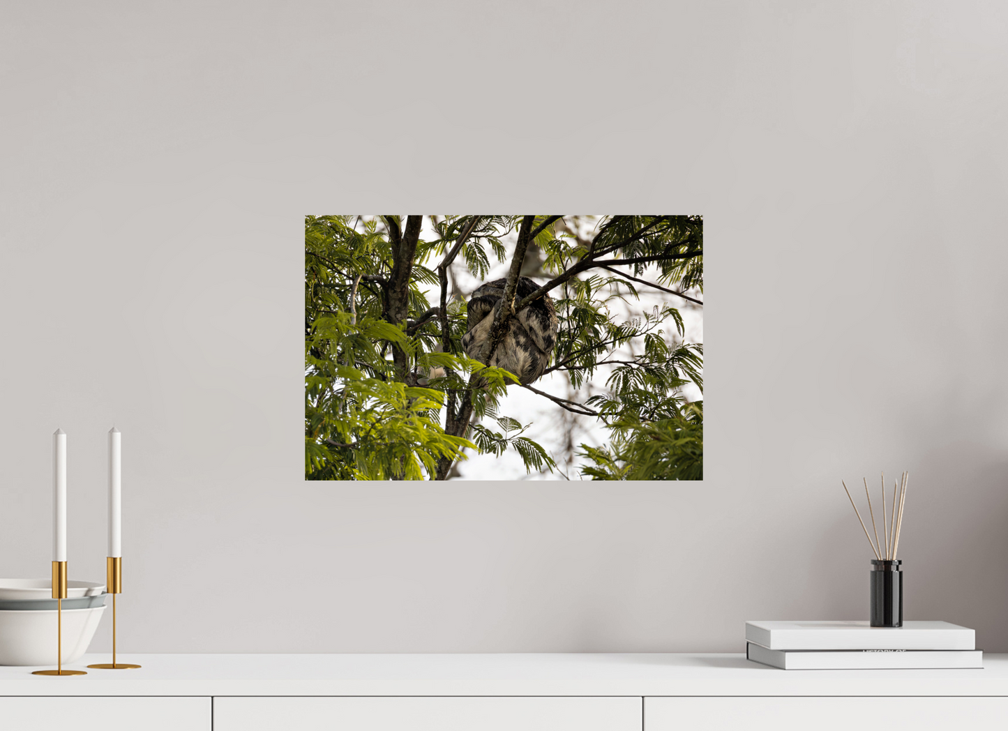 45 x 30 cm, Smooth Glossy sloth2
