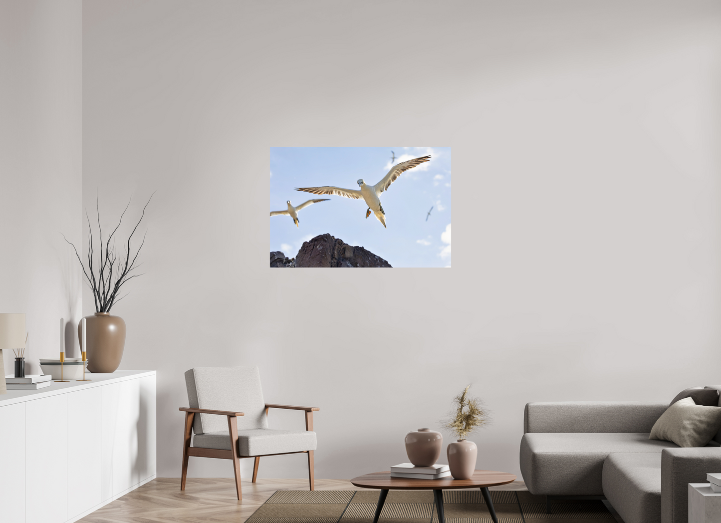 105 x 70 cm, Smooth Glossy Gannets2