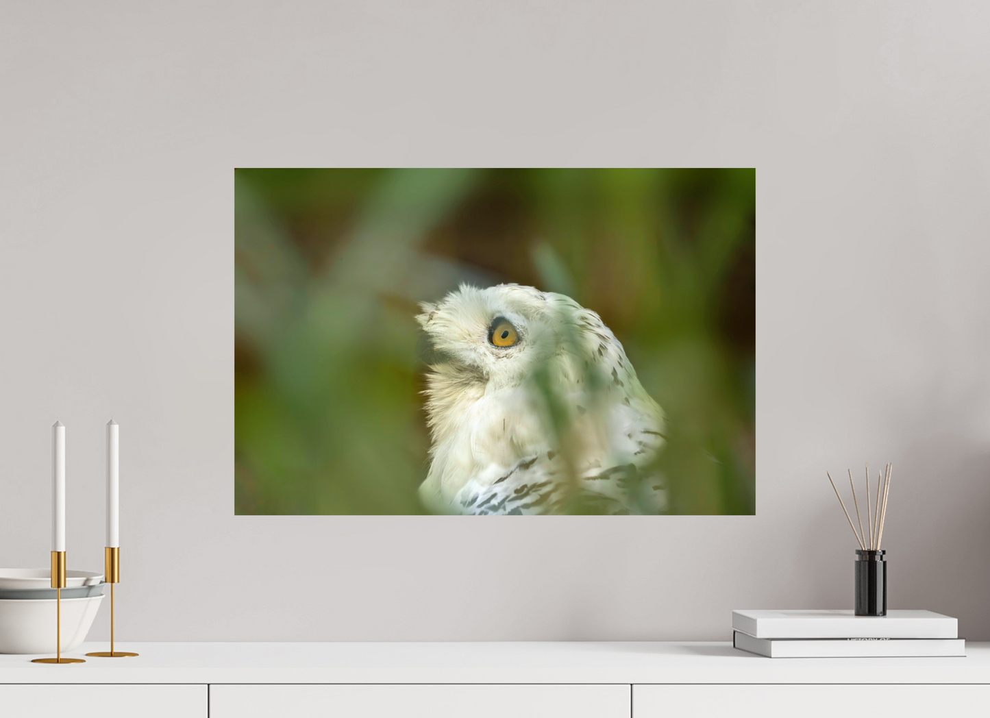 60 x 40 cm, Smooth Glossy snowy owl
