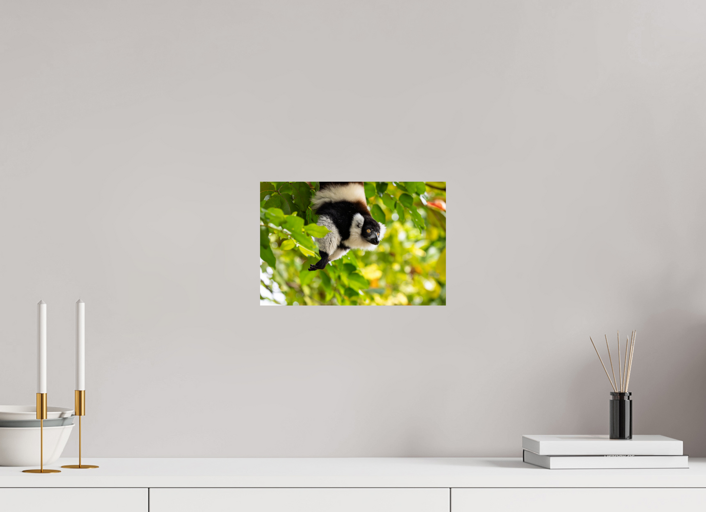 30 x 20 cm, Smooth Glossy lemur 2