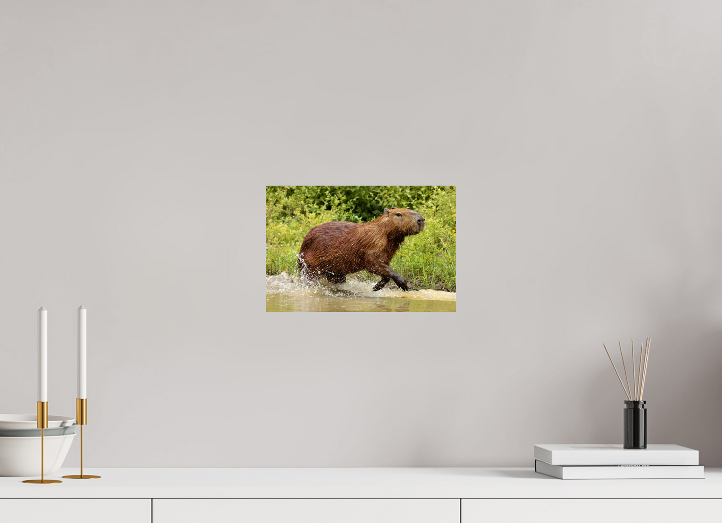 30 x 20 cm, Smooth Glossy Capybara