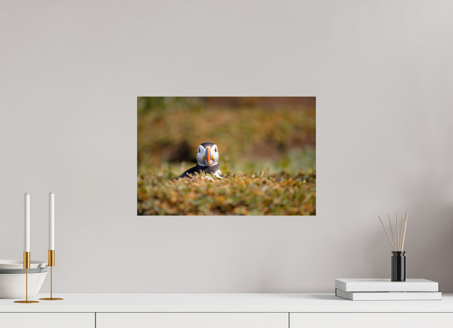 45 x 30 cm, Smooth Glossy puffin5